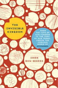 The Invisible Kingdom