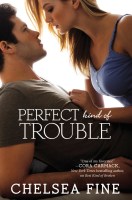 Perfect Kind of Trouble