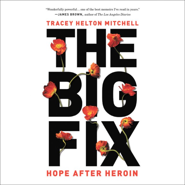 The Big Fix