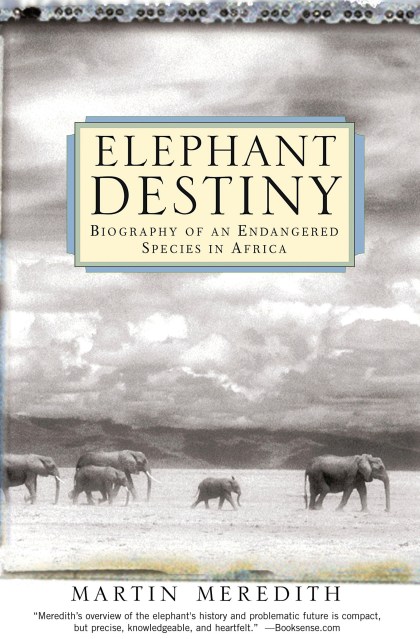 Elephant Destiny