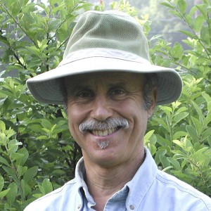 Lee A. Reich