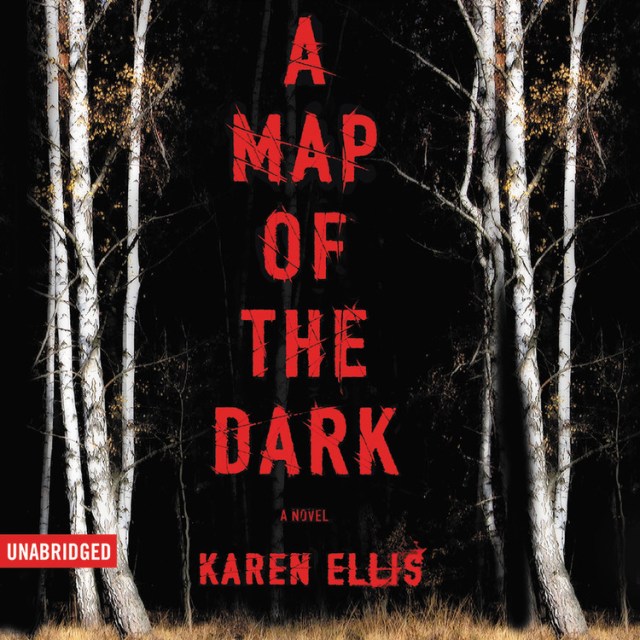 A Map of the Dark