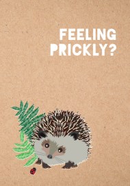 Feeling Prickly Journal