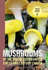 Mushrooms of the Northeastern United States and Eastern Canada