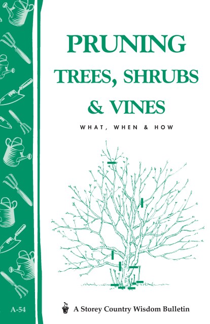 Pruning Trees, Shrubs & Vines