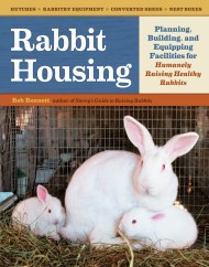 Rabbit Housing