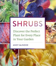 Shrubs