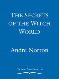 The Secrets of the Witch World