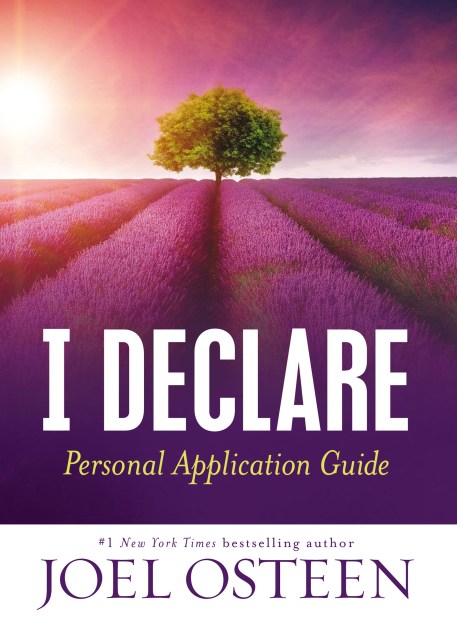 I Declare Personal Application Guide