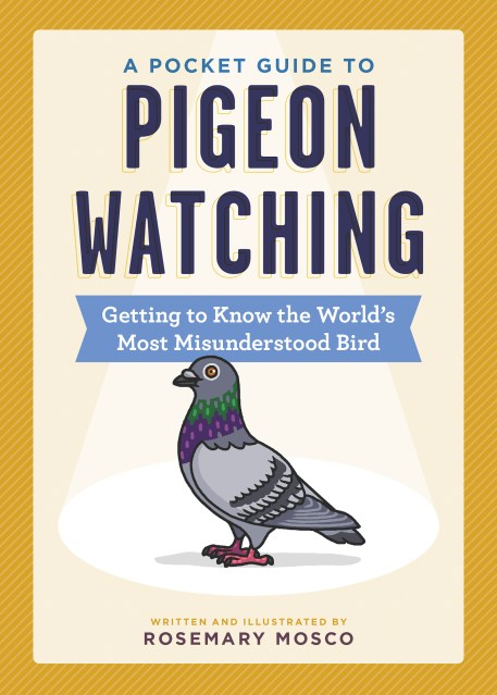 A Pocket Guide to Pigeon Watching