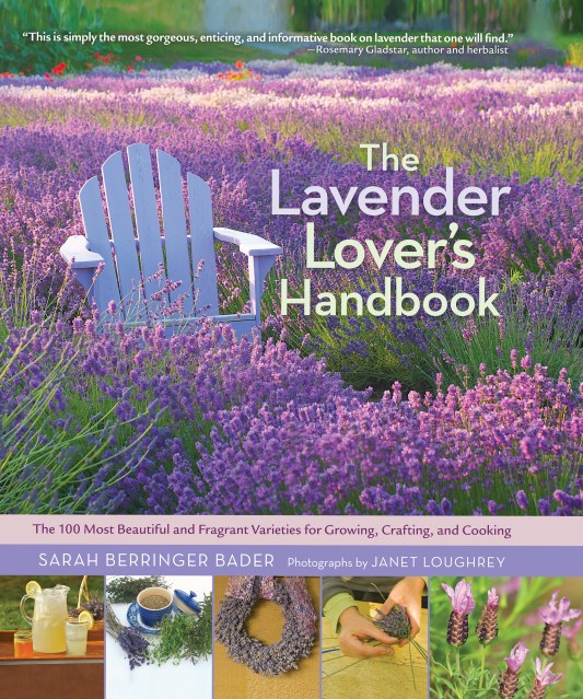 The Lavender Lover’s Handbook