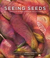 Seeing Seeds