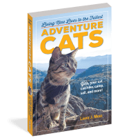 Adventure Cats