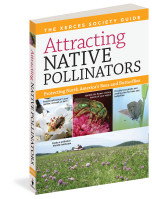 Attracting Native Pollinators