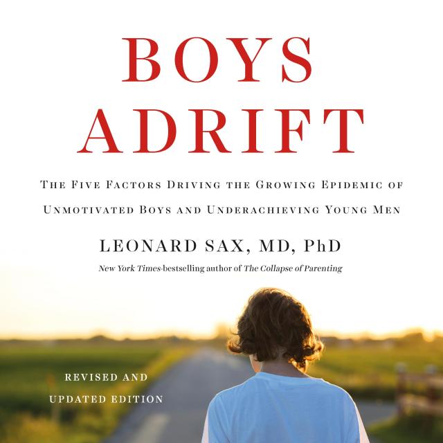 Boys Adrift