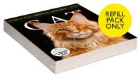 Cat Page-A-Day® Gallery Calendar Refill Pack 2026