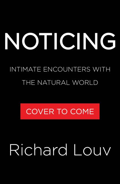 Noticing