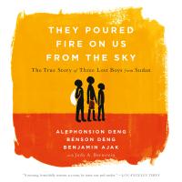 They Poured Fire on Us from the Sky