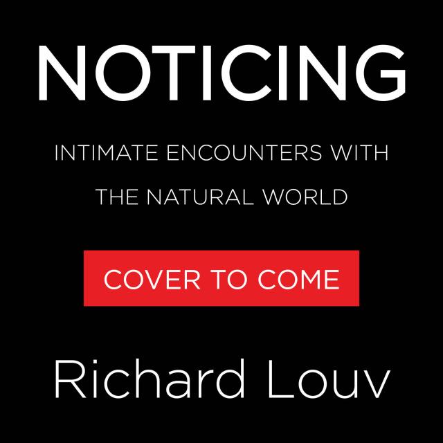 Noticing