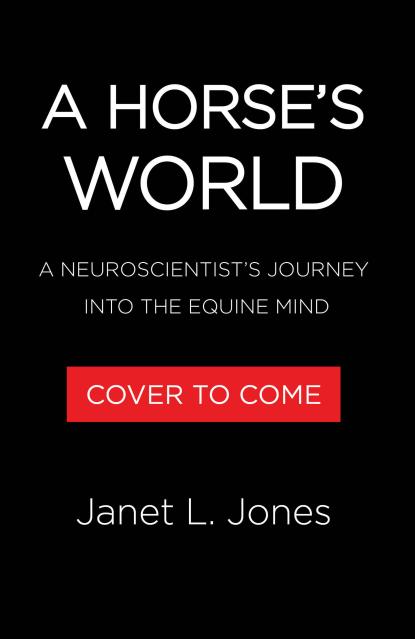 A Horse’s World