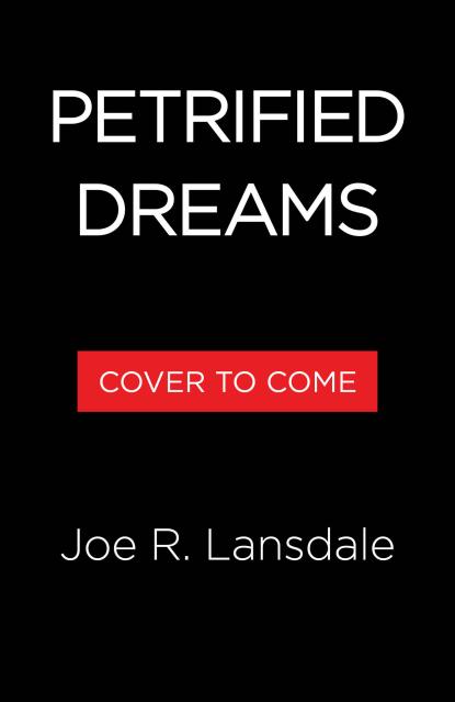 Petrified Dreams