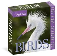Audubon Birds Page-A-Day® Calendar 2027