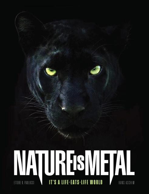 Nature Is Metal