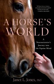 A Horse’s World