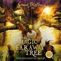 The Magic Faraway Tree: The Enchanted Wood