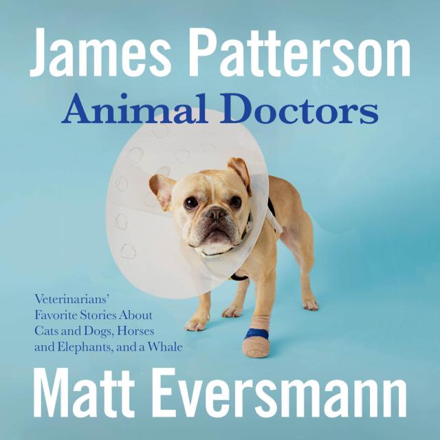 Animal Doctors